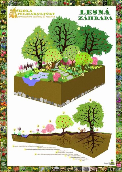 Plagát "Lesná záhrada" - formát A2